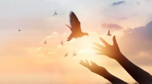 12-week Manifestation Coaching Program