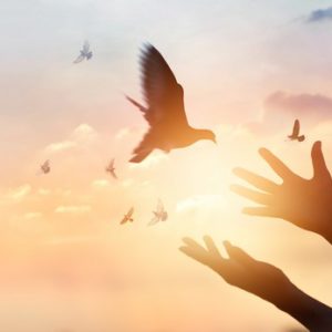 12-week Manifestation Coaching Program